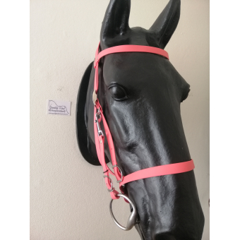Halsterhoofdstel nieuw model! Cob/Full